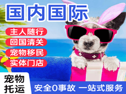 三明沙县机场快运国际宠物托运 【国